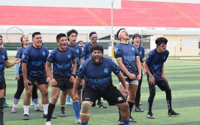 Azúcar, flores y muchas lesiones